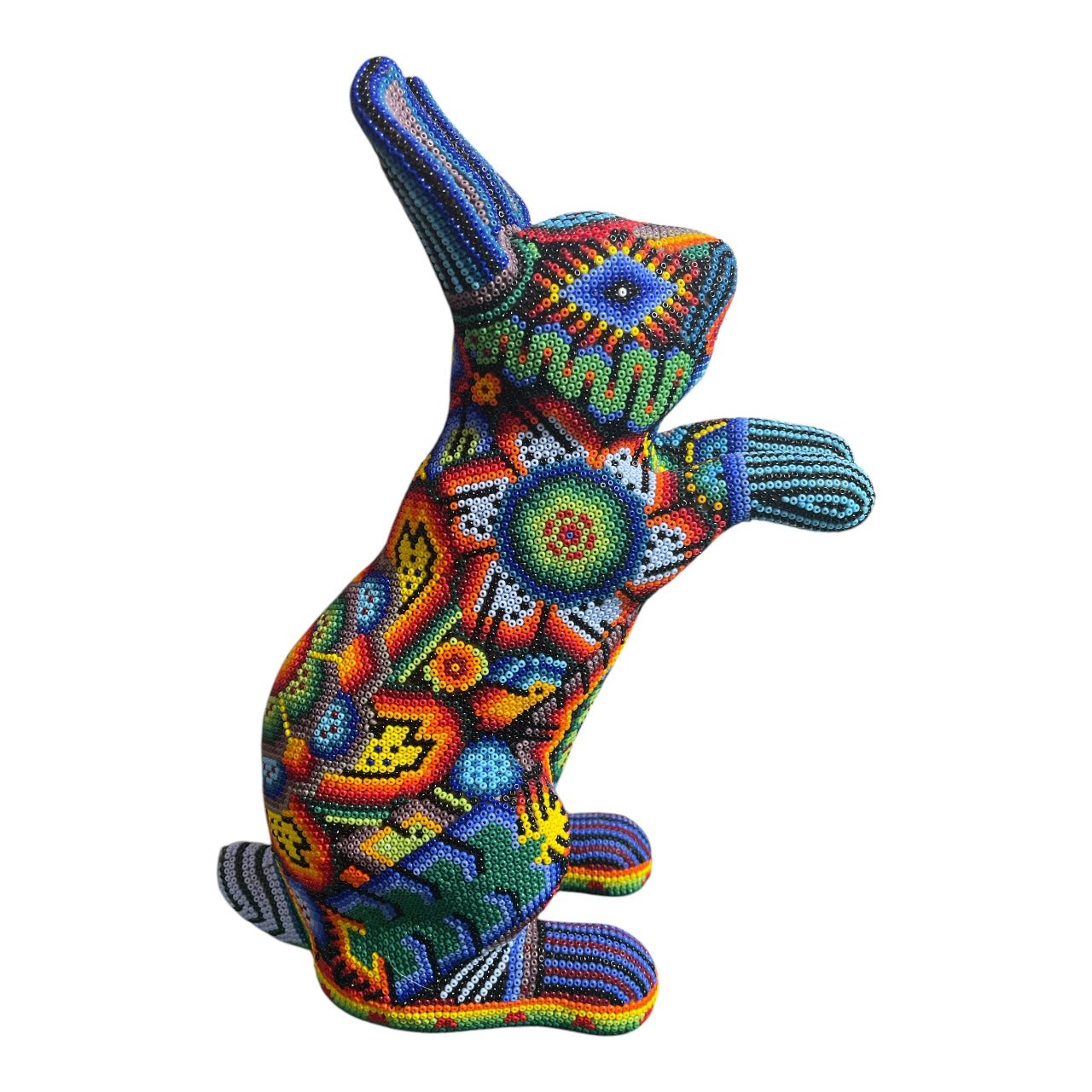 CONEJO GRANDE DE CHAQUIRA A