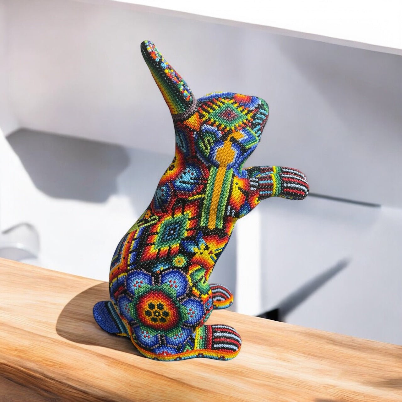 CONEJO GRANDE DE CHAQUIRA B