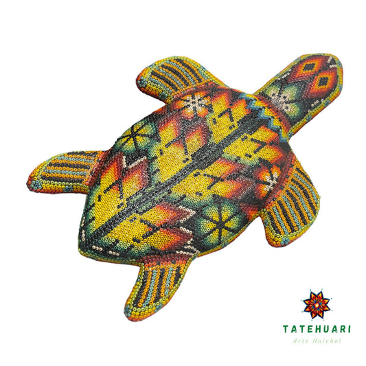 Tortuga de Chaquira FG20