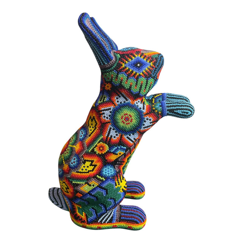 CONEJO GRANDE DE CHAQUIRA A