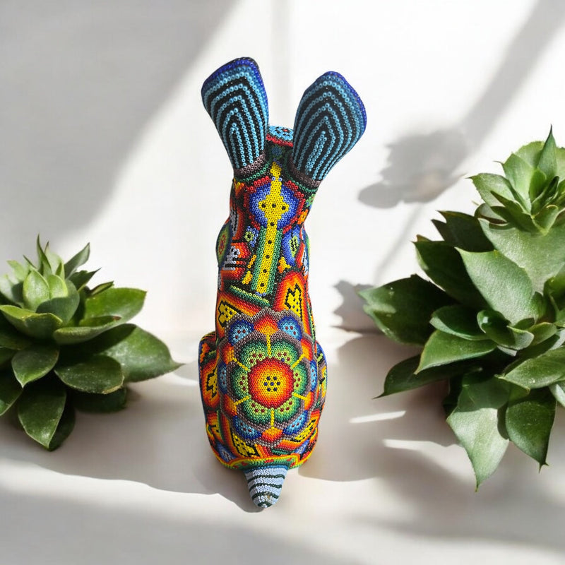 CONEJO GRANDE DE CHAQUIRA A