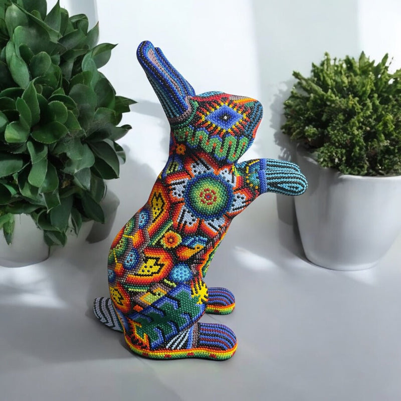 CONEJO GRANDE DE CHAQUIRA A