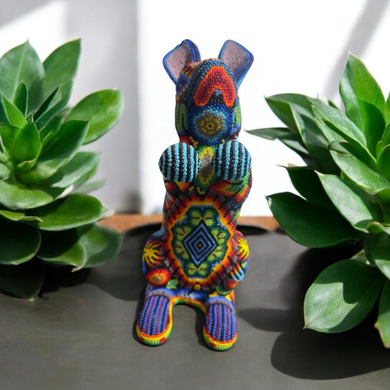 CONEJO GRANDE DE CHAQUIRA A