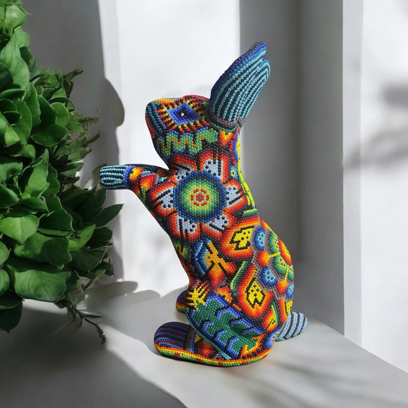 CONEJO GRANDE DE CHAQUIRA A