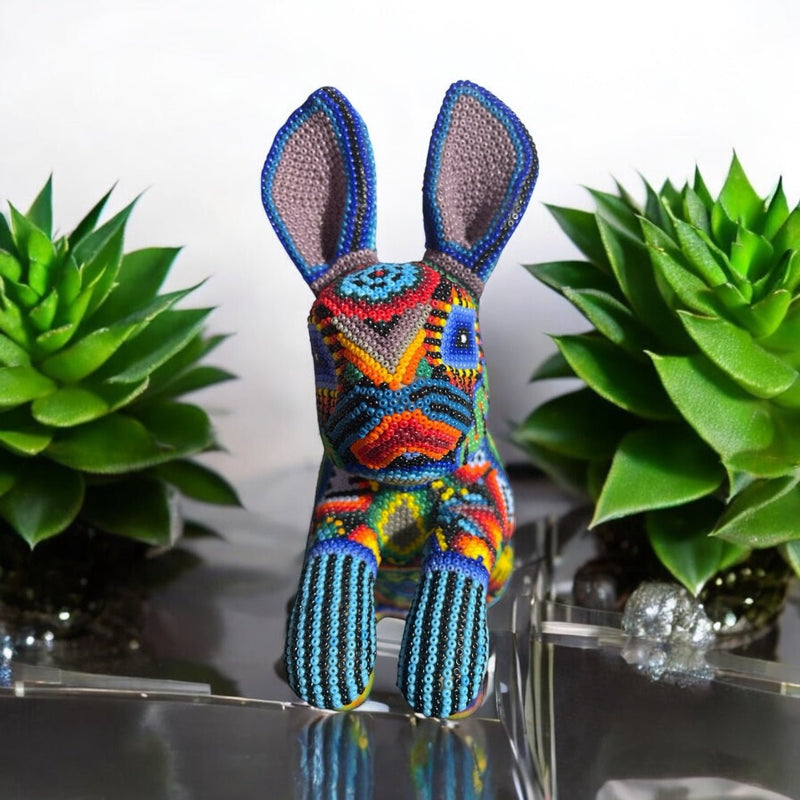 CONEJO GRANDE DE CHAQUIRA A