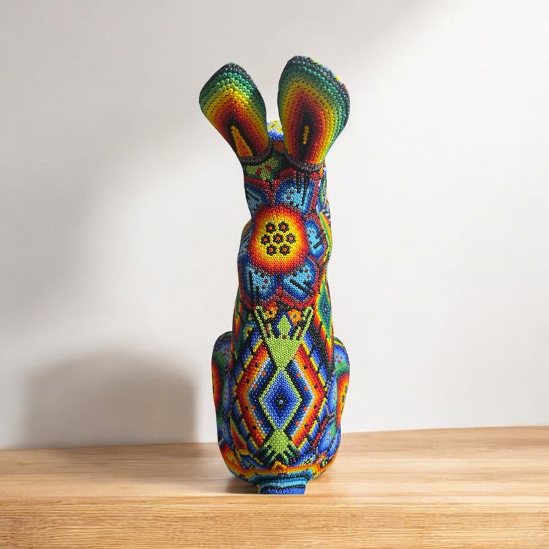 CONEJO GRANDE DE CHAQUIRA B