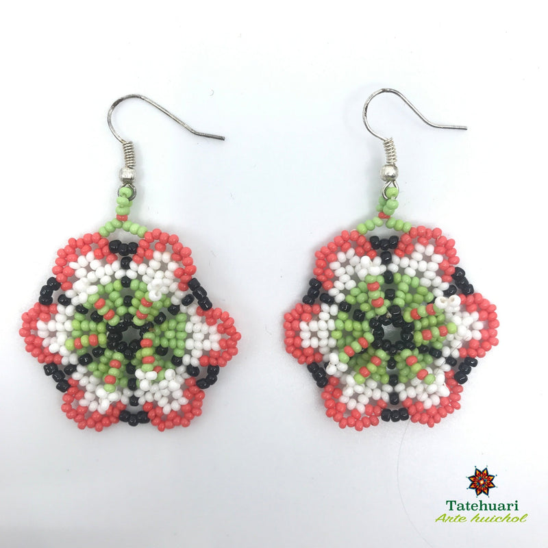 Aretes de chaquira Achfpryv10