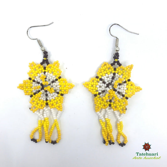 Aretes de chaquira Achflam06