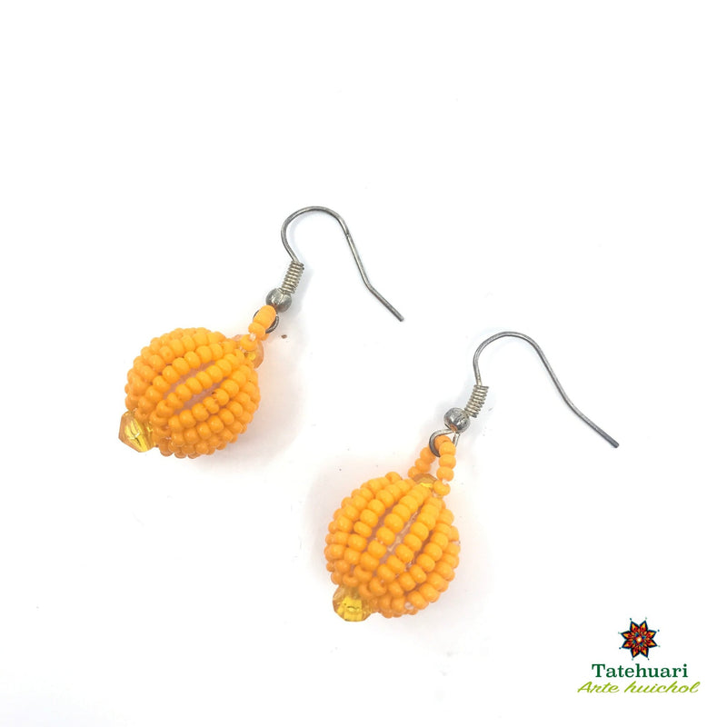 Aretes de chaquira Achesfam02