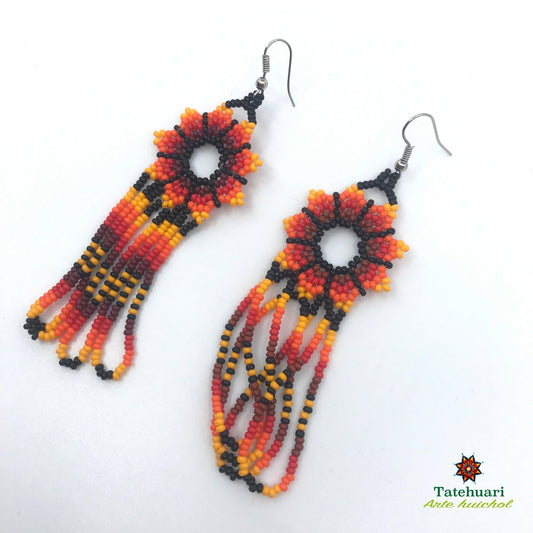 Aretes de chaquira Achflro01
