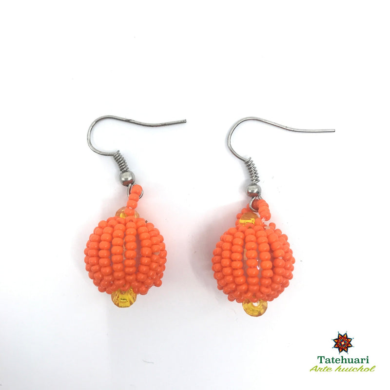 Aretes de chaquira Achesfna01