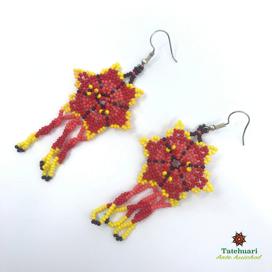 Aretes de chaquira Achflro03