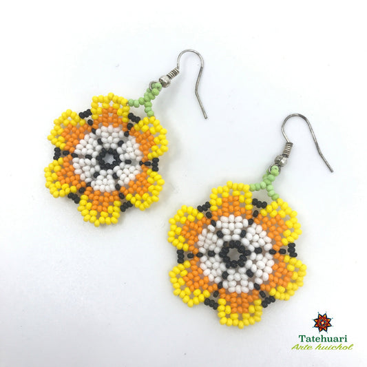 Aretes de chaquira Achfpa09
