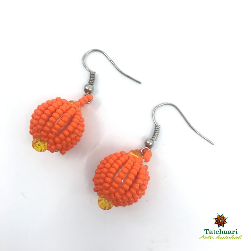 Aretes de chaquira Achesfna01