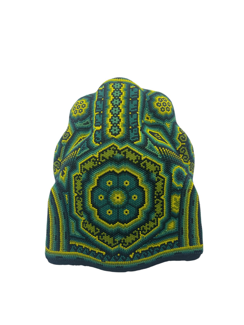 Cabeza de jaguar CABJAGVER01