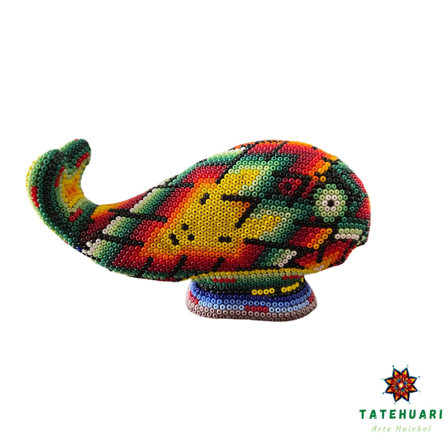 Ballena de Chaquira - FM04